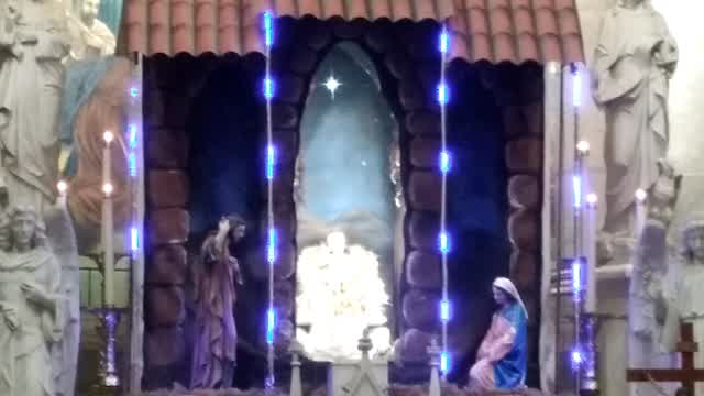 Interior de la Catedral Basílica de la Inmaculada Concepción | Mazatlán | 24 de diciembre de 2025 Interior de la Catedral Basílica de la Inmaculada Concepción | Mazatlán | 24 de diciembre de 2025