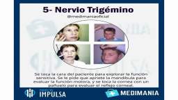 Un resumen de los pares craneales