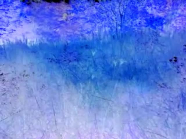 pjhukylhtpmpdhuaav pjhukylhtpmpdhuaav