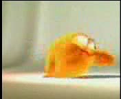 Sweety The Chick gets shot dead in Miami. Sweety The Chick gets shot dead in Miami.