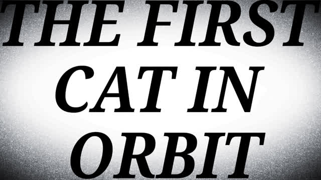 THE FIRST CAT IN ORBIT!