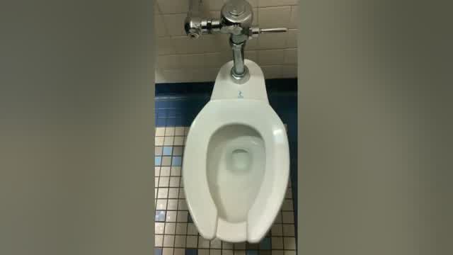 Random Restroom Tour: Siphonic Crane Plumbing Whirlton