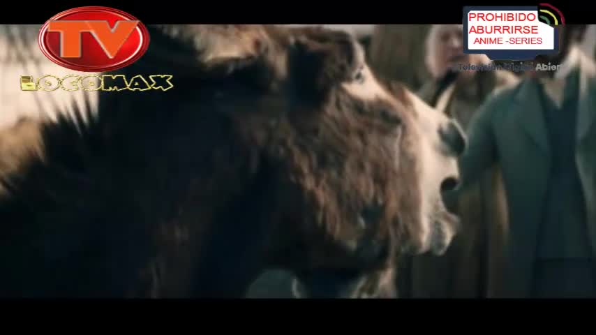 LocomaxTv Bolivia Anime Junio 2026