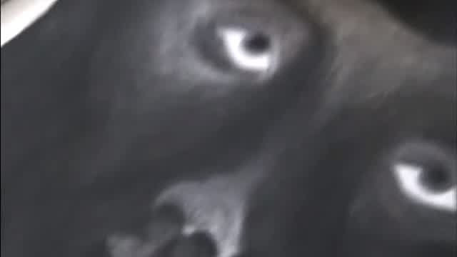 Riley draws a creepy picture