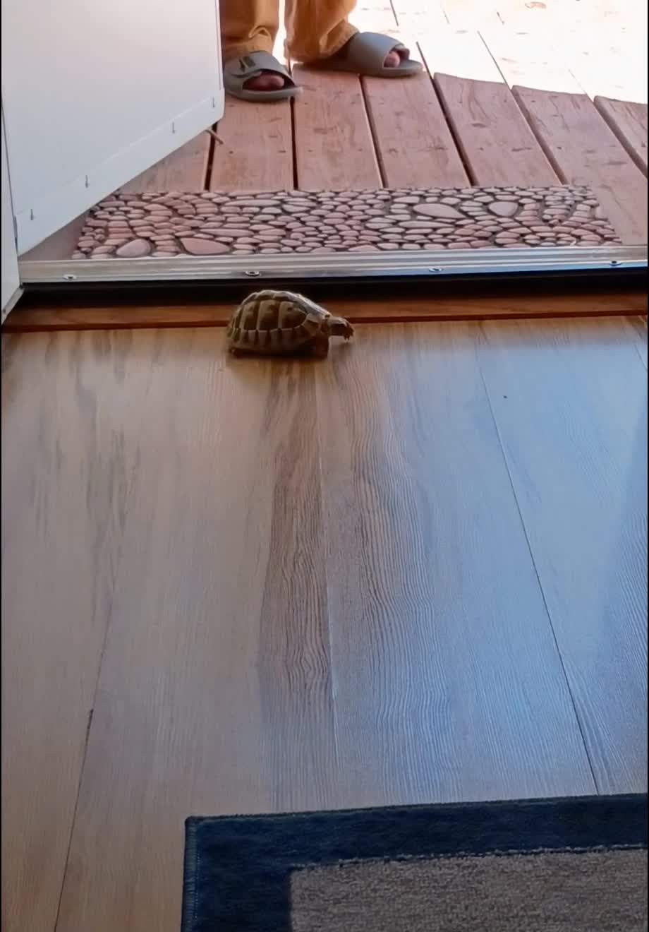 Sometimes we all need a little "pick me up"