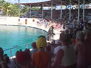 SEAL SINGING OPERA!!! SEAL SINGING OPERA!!!