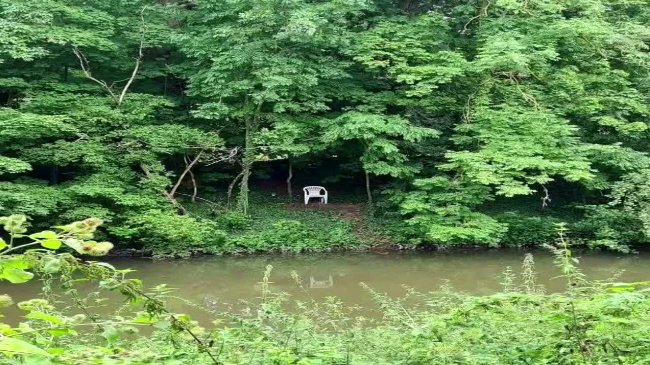 Revelation - Just Be Dub To Me (Divine Inspiration Remix)