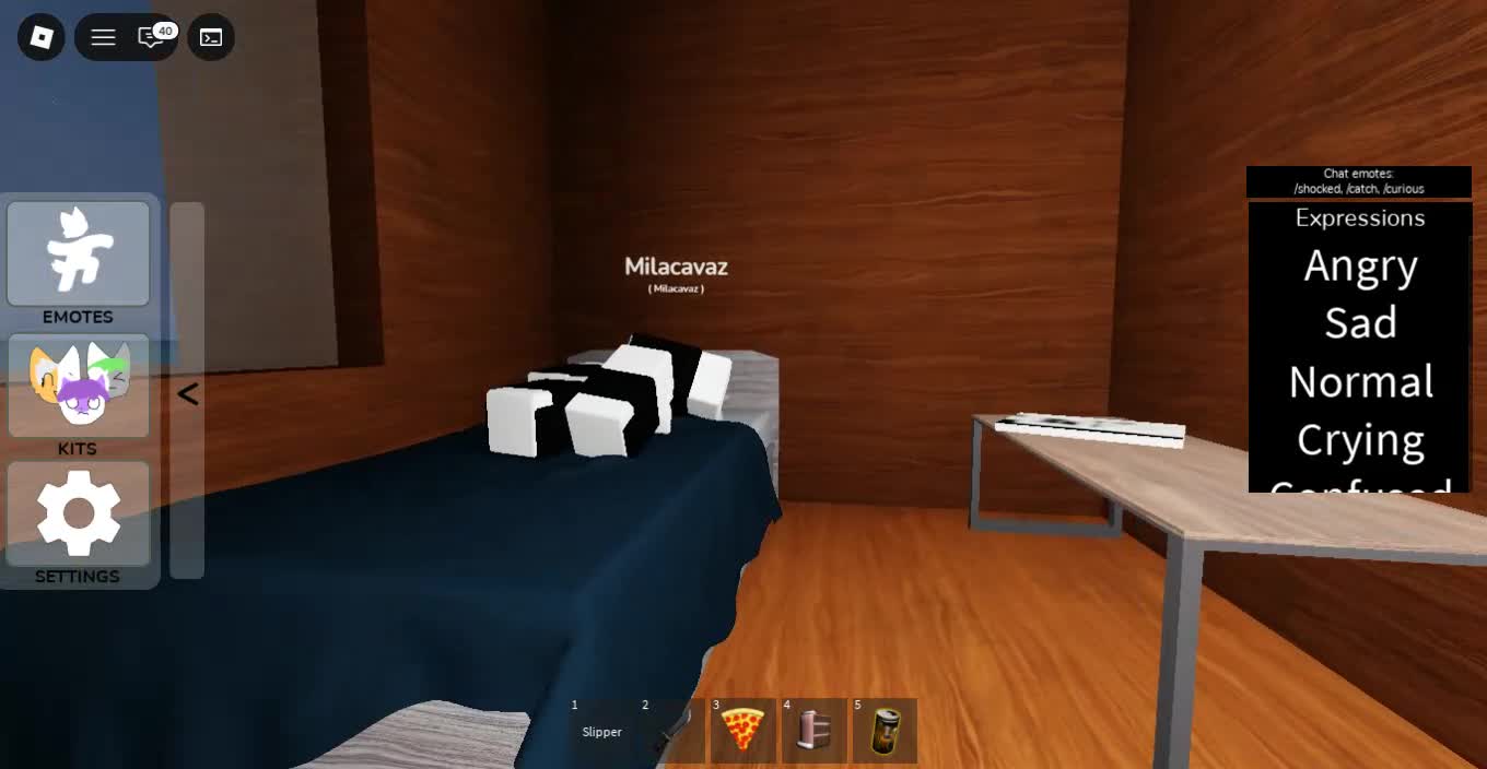 Roblox-2025-12-20T15_13_30.240Z