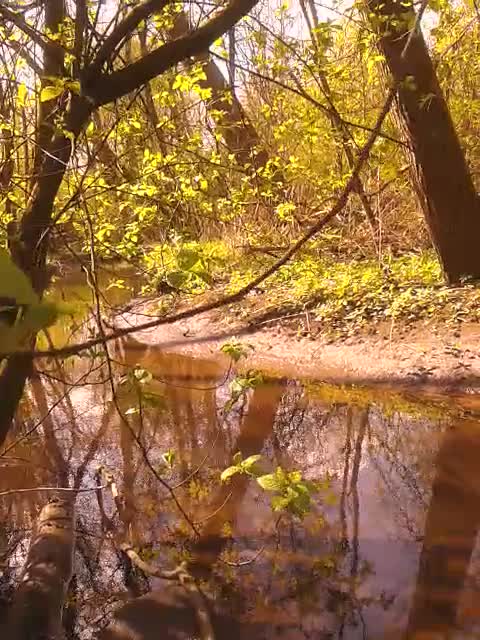 Der erste Au-Movie 2026