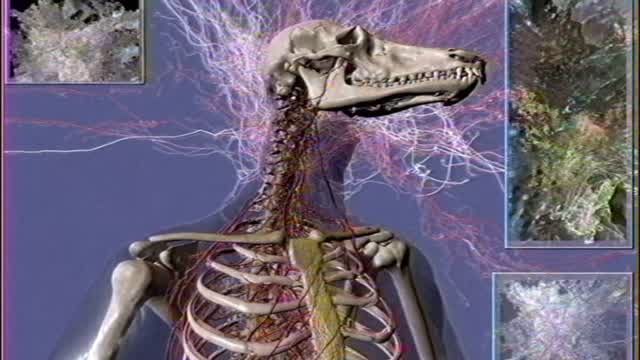 my truecel larping fagg is cumming out in me and i cant wait to get more things for nothing again