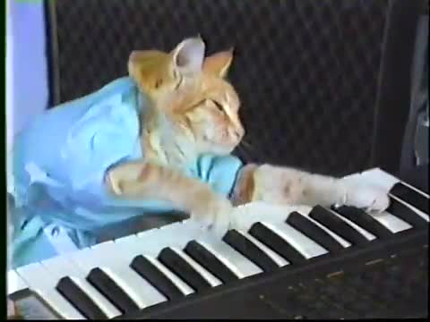 Original "Keyboard Cat" video (1984)