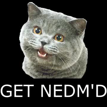 Classic NEDM Meme Joke