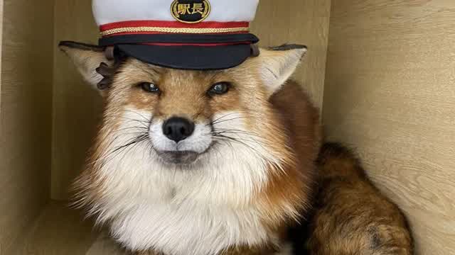 2026-02-28 at 5.23.25 PM