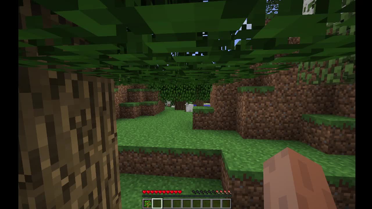 Wegen einem Fehler gibt es einen Neustart