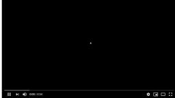 level game!!! level game!!!