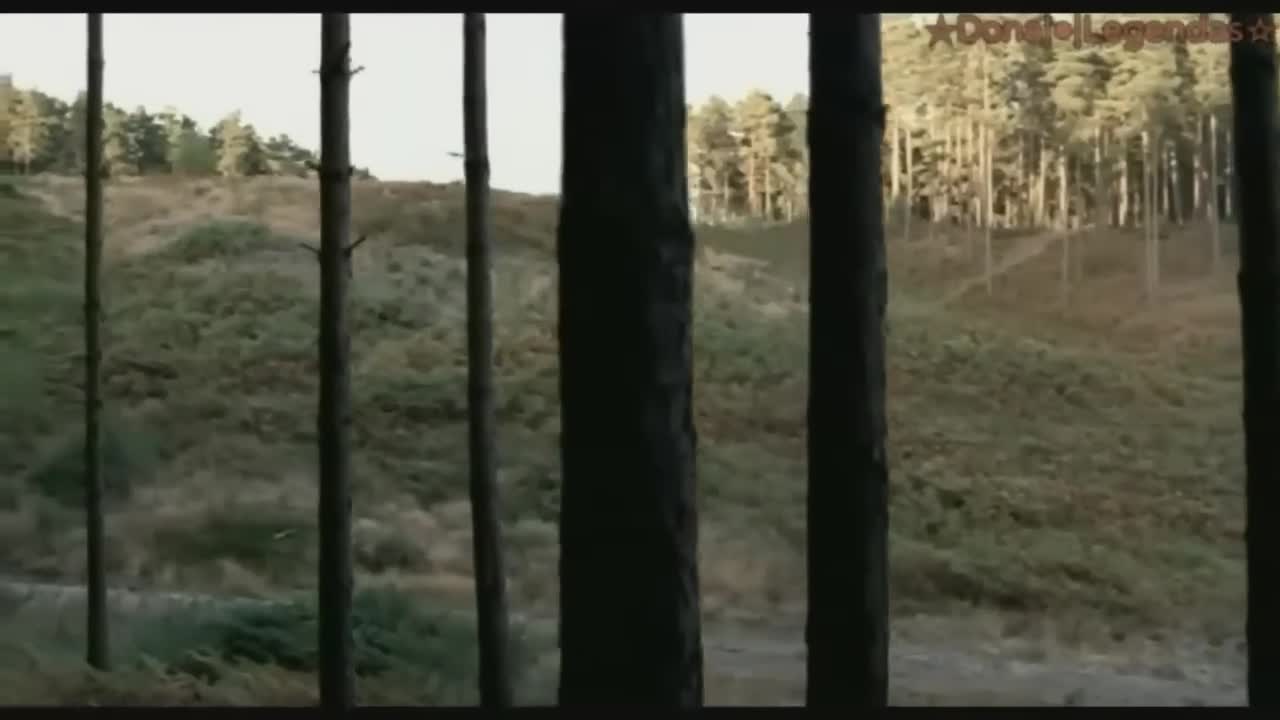 Coldplay - The Scientist (Tradução_Legendado)
