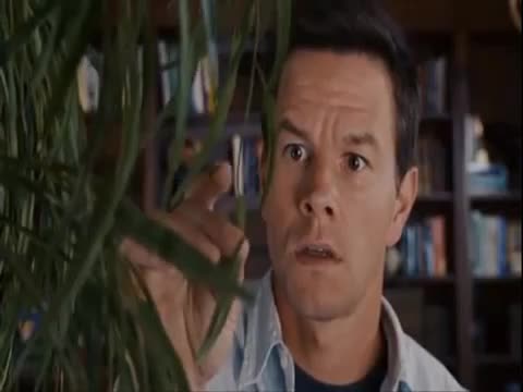 I'm talking to a plastic plant...