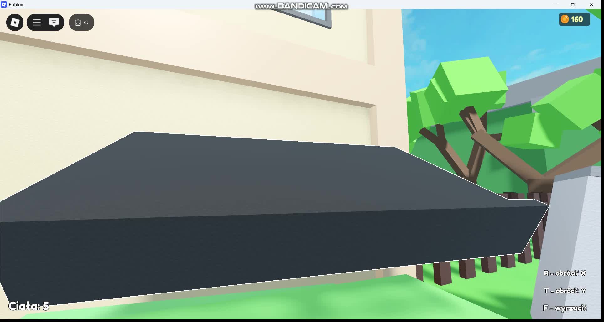 Roblox:Hide the body