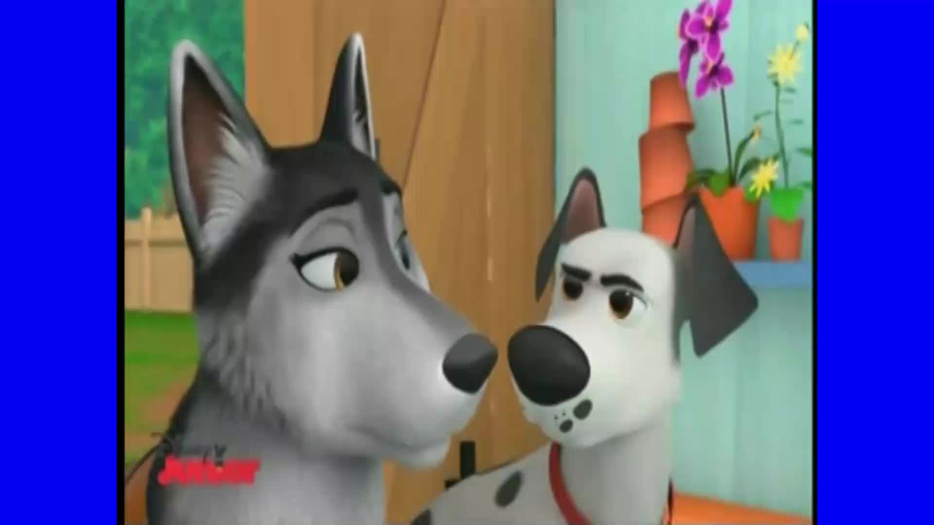 Escuadrón de pollitos - Como un perro / Episodio Completo (Español Latino)