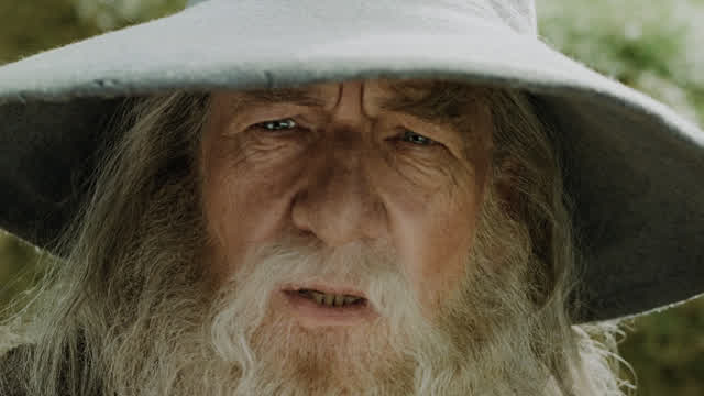 Gandalf the Gay!