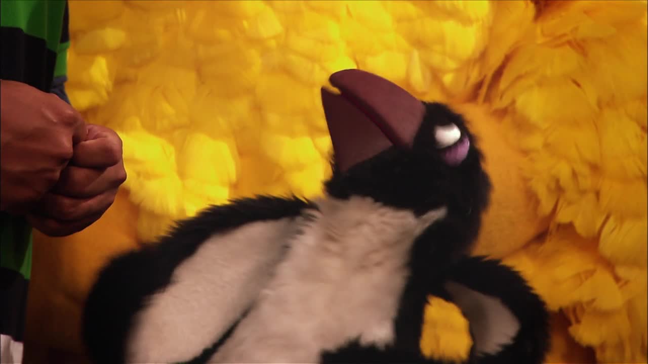 Sesame Street_S46E14_Enthusiastic Penelope Penguin