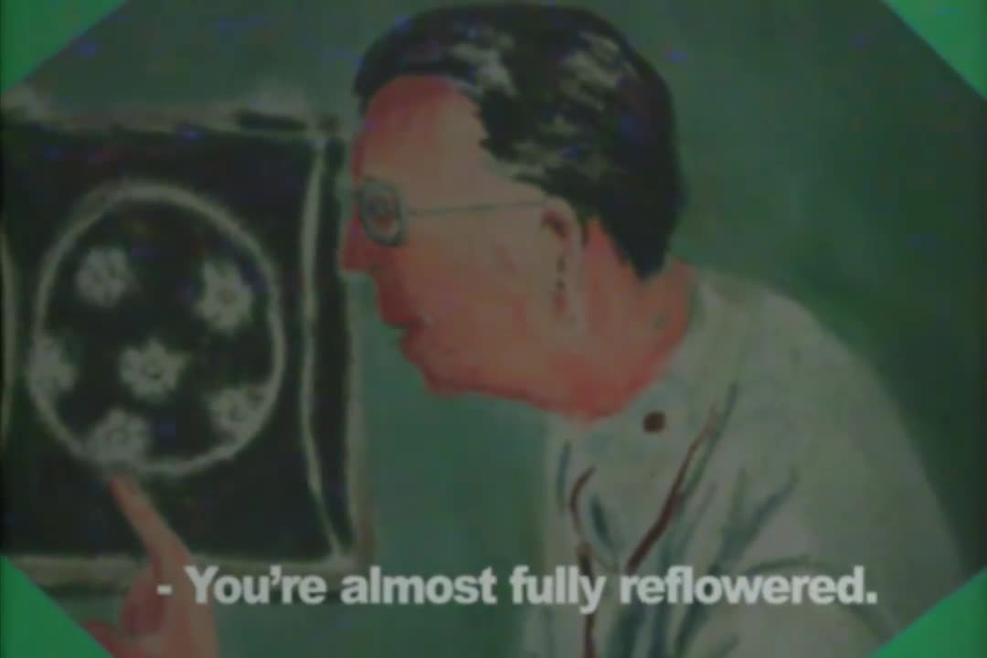 "Smile Guide 5 - How to properly phone" [2015]