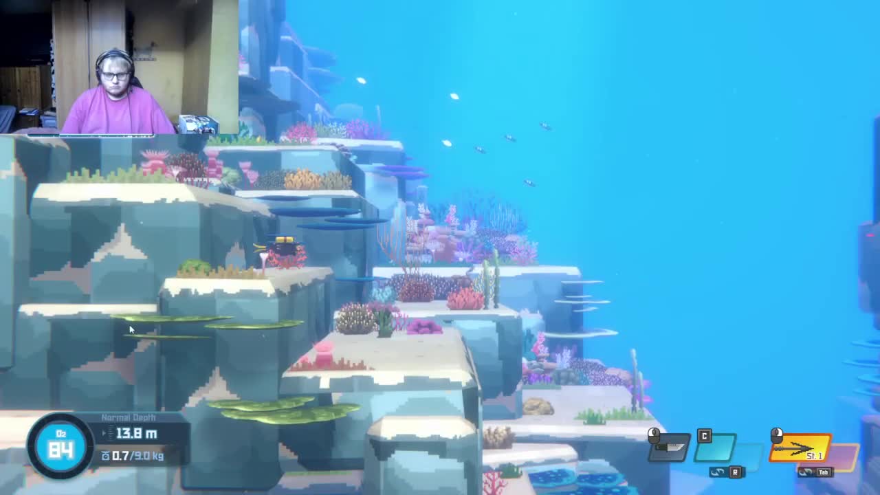 dave the diver 3:exploring,getting fish and materials