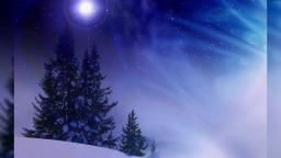 coda - No Flakes coda - No Flakes