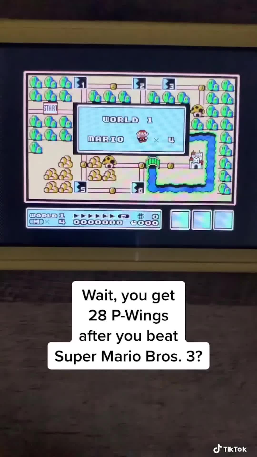 28 P-Wings in Super Mario Bros 3!