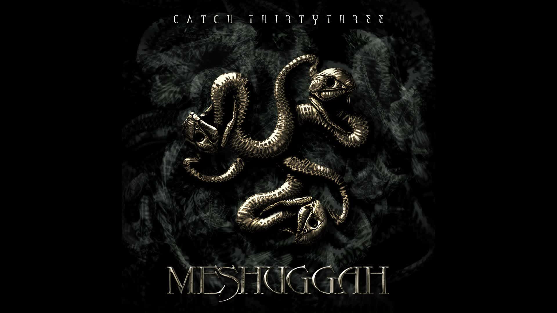 Meshuggah - Re-Inanimate