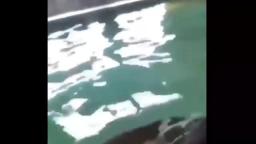 Guy Cries After Going Underwater, But It's Distorted..