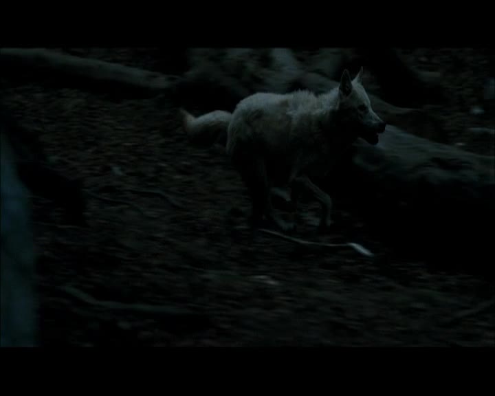 Agnes Bruckner - Loup Garou. -