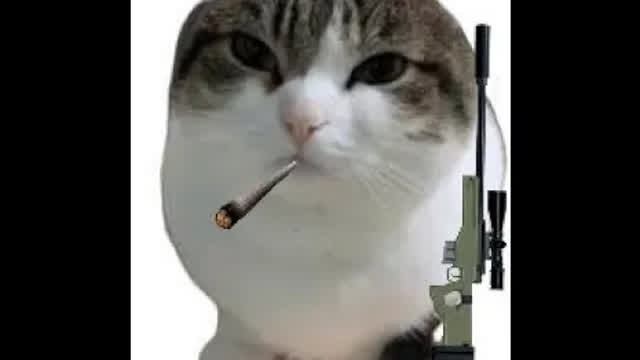 MLG battel w Click the wawa