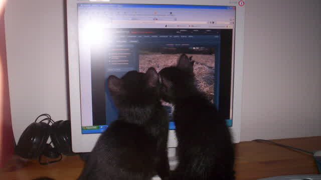 [CMHHHMC] CENU's Magical Happy Hardcore History of Modern Computers (Seizure Warning!)