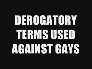 DEROGATORY TERMS USED AGAINST GAYS