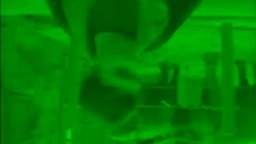 Accidentally Me at the zoo