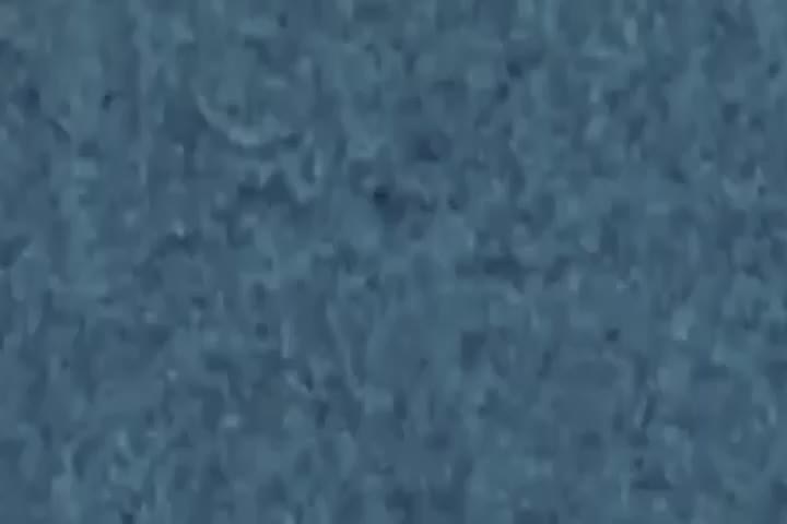 Klasky_opusC.avi_in_Luig_Group