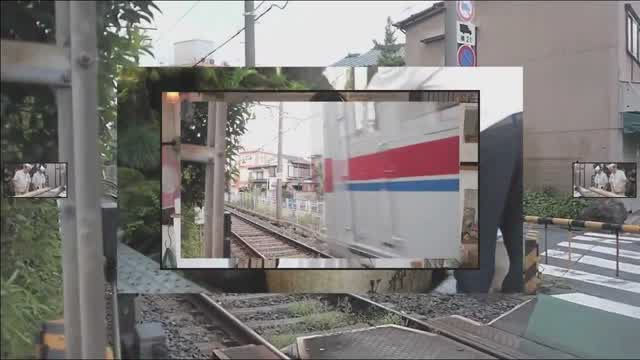 ๆดๅ | Shibamata ๆดๅ | Shibamata