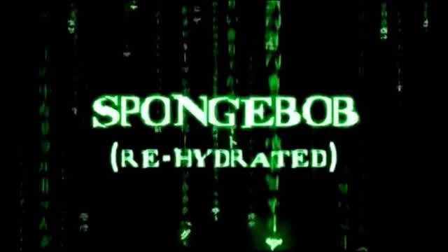 SpongeBob rehydrated