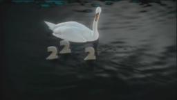 BBC TWO - 50 Years Swan Symbol - No logo BBC TWO - 50 Years Swan Symbol - No logo