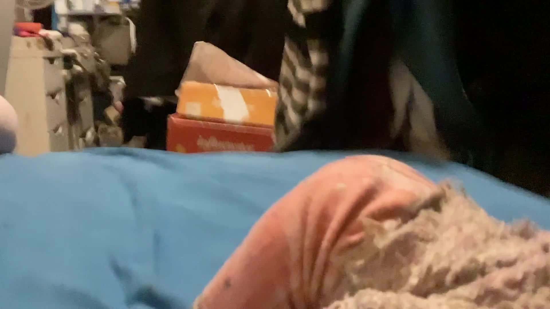 kadence goes on and date