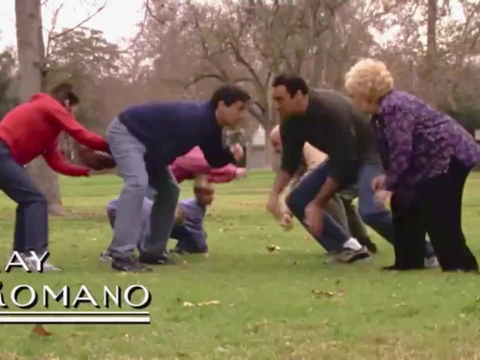 Everybody Loves Raymond S06E08 It's Supposed To Be Fun