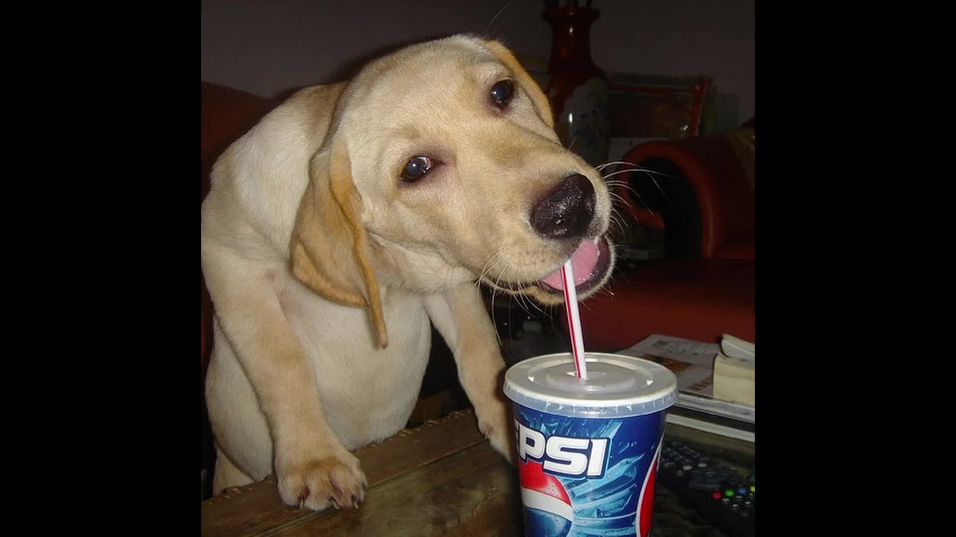 Sobre el video de E.T.A