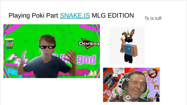 Playing Poki Part SNAKE.IS MLG EDITION