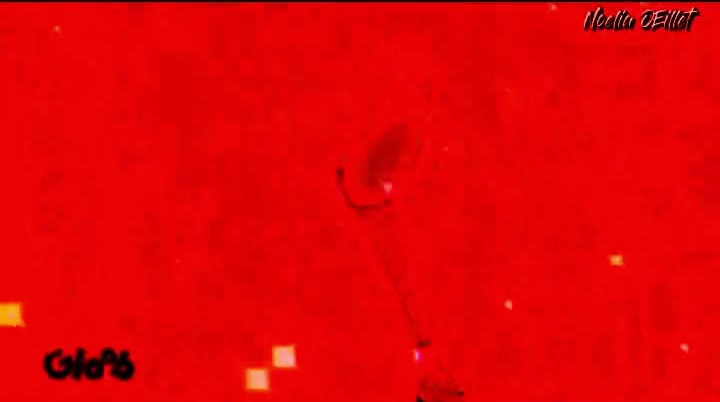 weź wylej tego gluta!!!!!!!! weź wylej tego gluta!!!!!!!!