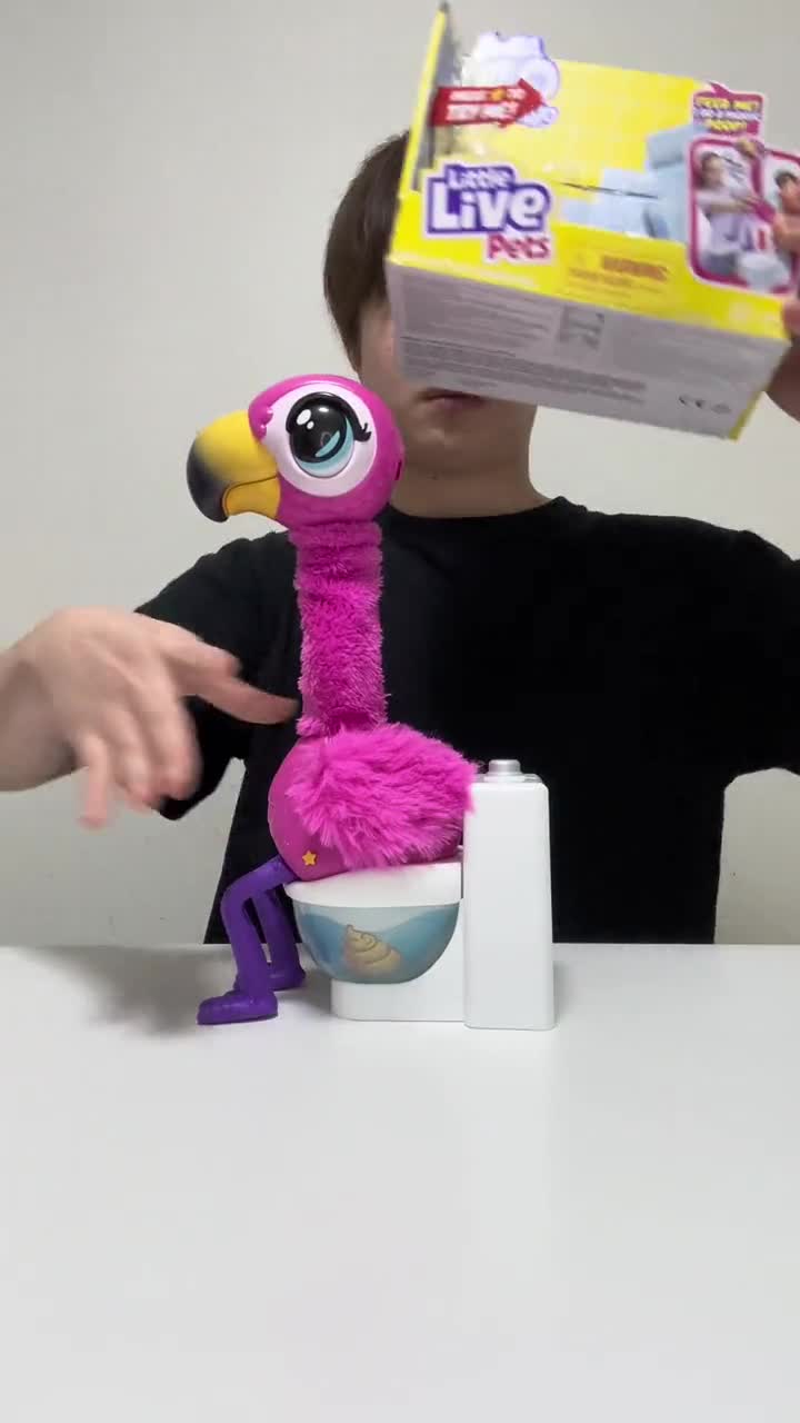why would you want a toy like that? 🤣