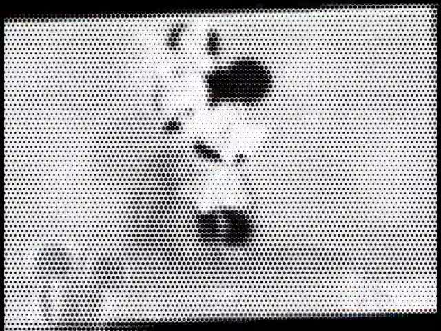 MICKEYMOUSEY HULLABALOO