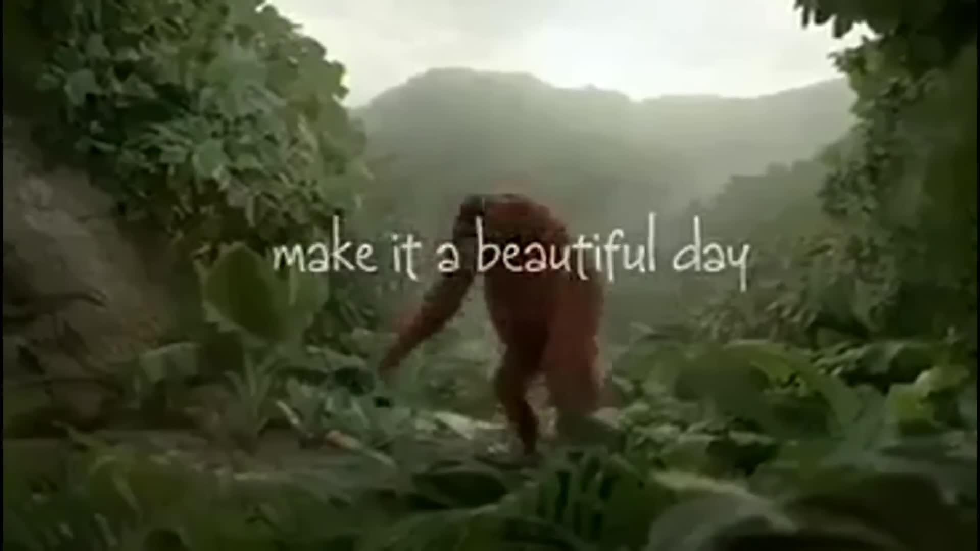 Alesonic99 en la vida real