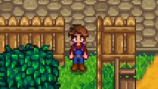 Pelican Town Perimeter - Stardew Valley Game Location Exploration #5 Part 1 (Fixed)