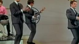The Honeycombs-Have i the right